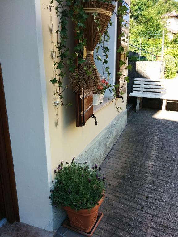 Casetta Next To The Creek Dino Buzzati Belluno Habitación foto